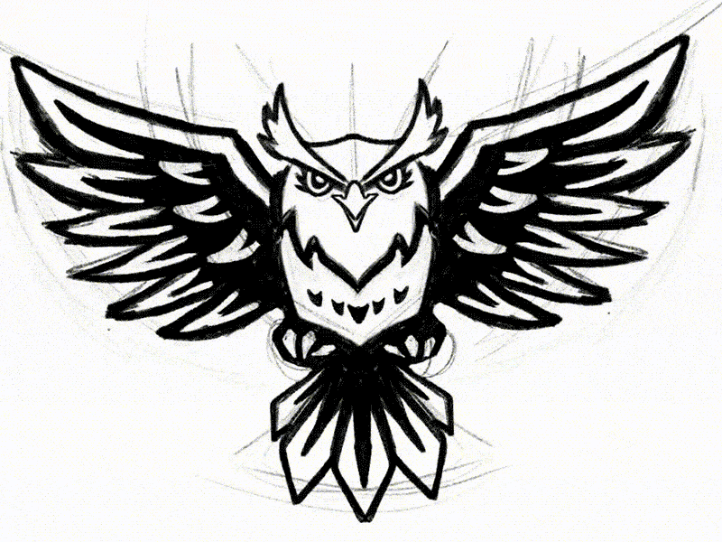 SAE Mascot sketch branding character drawing education illustration logo owl process procreate simple sketch