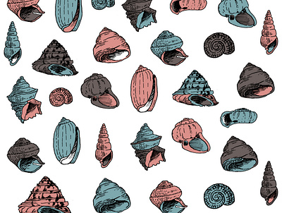 Seashells design illustration