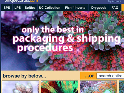 Uc Frontpage Redesign blue ecommerce green homepage online store orange peach pink purple