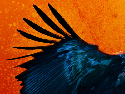 Wings of change blue orange splatter wings