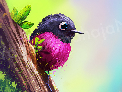 Cute Bird animation artstyle birds cartoon character colourful cute illustration illustrator photoshop procreate5