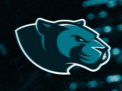 Carolina Panthers Logo blue football logo motion nfl panther sports sports branding
