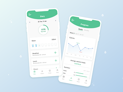 Diet and water intake tracker