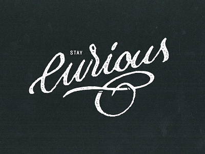 Stay Curious lettering type typography