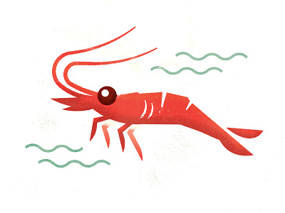 Shrimp illustration shrimp texture vector