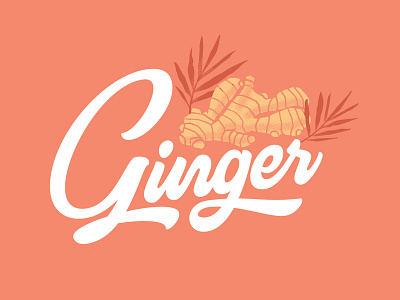 Ginger design lettering vector