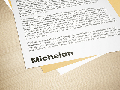 Michelan — Brand Identity