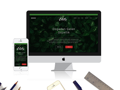 Elite Naturel Web Design - UI/UX Elementor