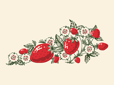 Kentucky Strawberries food fruit illustration kentucky retro strawberries strawberry