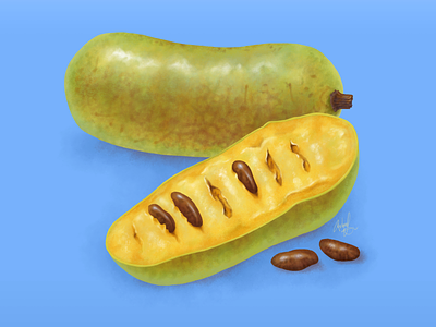 Pawpaw digital painting food fruit illustration pawpaw
