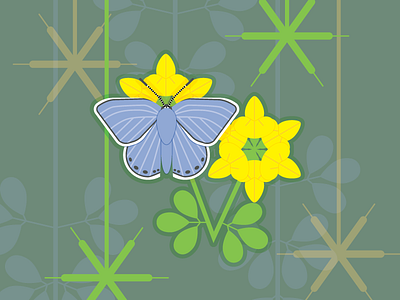 Common Blue Butterfly animals butterfly color flat nature vector