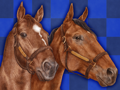 Man O' War & American Pharoah digital painting horse racing horses kentucky kentucky derby painting watercolor