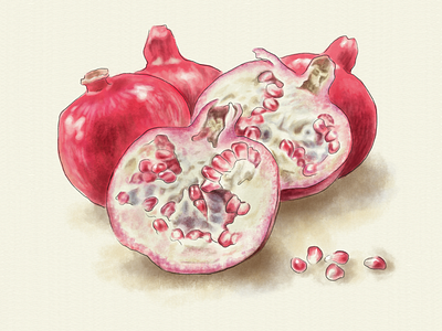 Pomegranate food fruit illustration painting pomegranate watercolor