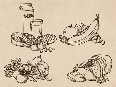 Food Group Line Illustrations