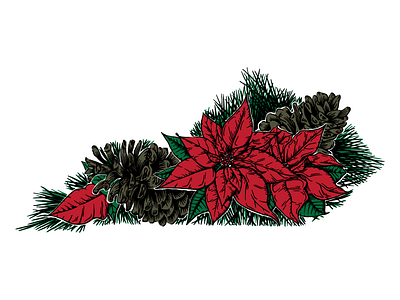 Holiday Botanical Kentucky botanical christmas holiday holidays kentucky plants poinsettia vector winter