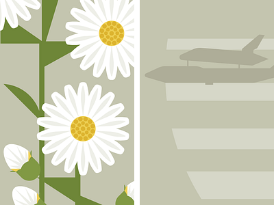 Flowers & Shuttles: Daisy