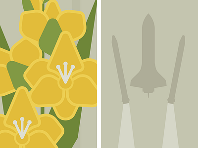 Flowers & Shuttles: Gladiolus flat floral flowers illustration nasa shuttle vector