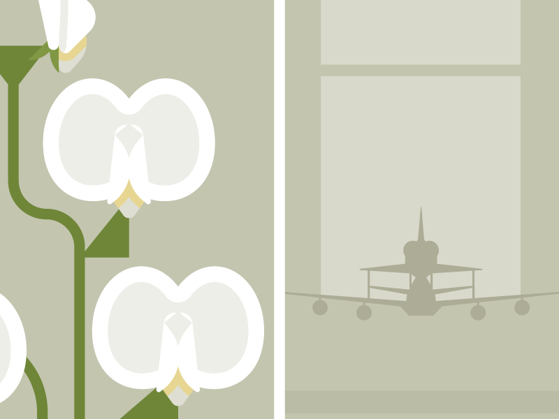 Flowers & Shuttles: Sweet Pea flat illustration nasa shuttle floral flowers vector