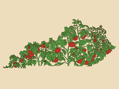 Kentucky Tomatoes