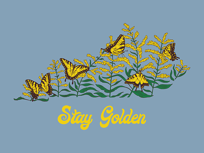 Stay Golden Kentucky butterflies butterfly flowers goldenrod illustration kentucky plants