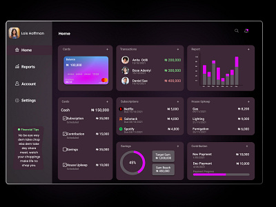 Budget-It app branding dashboard design illustration ui ux