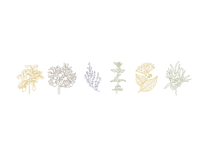 Essential Oils - Custom Icon Set