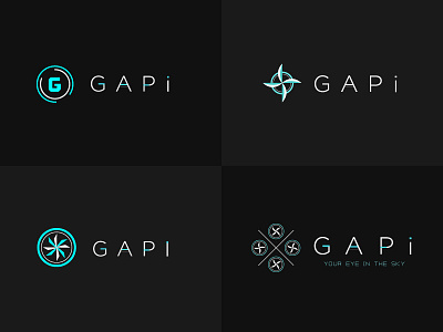 GAPi Logo Concepts 2 2 concepts gapi logo