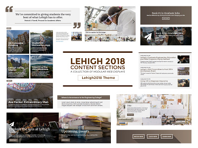 Lehigh 2018 Content Sections brown content design development displays drupal graphic modular theme web
