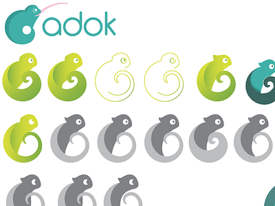 Chameleon Logo Process