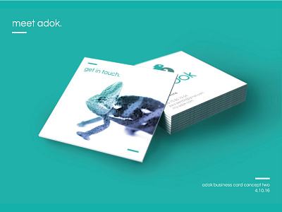 Adok Business Card Proposal 02 business cards client proposal