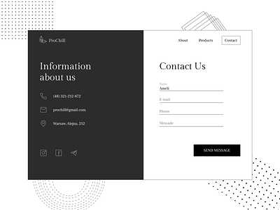 Dayli UI Day28. Contact Us app blackandwhite contact contact form contact us contacts dailyui design designer geometry ui ux web-design website