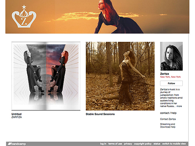 Zaritza logo & brand design: alt Bandcamp header design