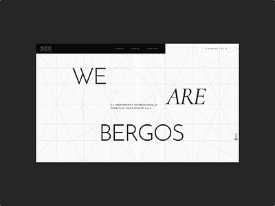 Bergos - Website animation branding design flat graphic design illustration logo minimal typography ui ux web website