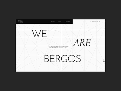 Bergos - Website