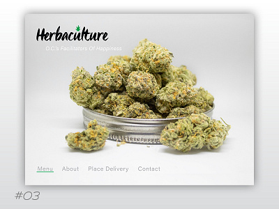 Daily UI 03 Landing Page cannabis landingpage uidesign weed