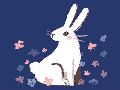 Rabbit {gif} bunny clarakins nose twitches playful rabbit