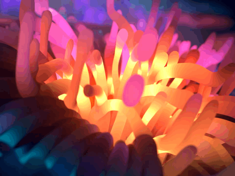 Anemone 3d animation b3d blender3d coral houdini motion reef render