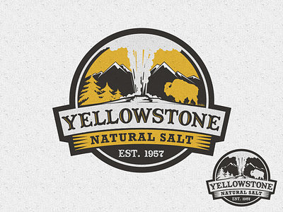 Yellow Stone Natural Salt branding graphic design logo logo design motion graphics