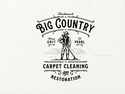Big Country Carpet Cleaning