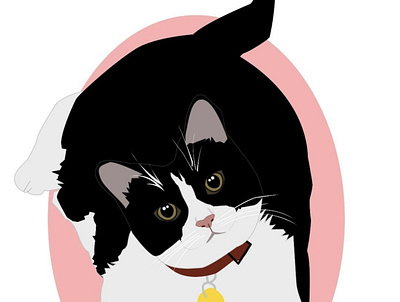 Tux Cat animal cats design illustration vector