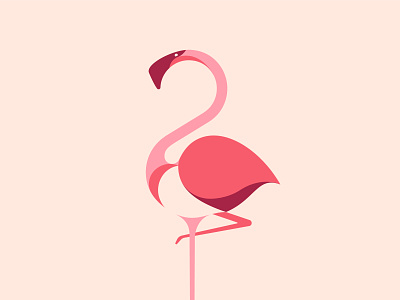 Flamingo 2d bird design flamigo fly graphic illustration illustrator logo nature simple vector water