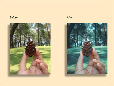 Pinecone