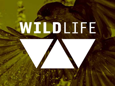 Wildlife Identity Design branding graphic designer logo salt lake city salt lake city design firm san fransisco san jose seattle utah