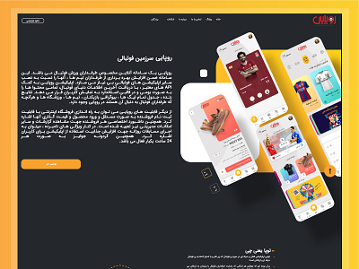 Roopaie Home Page app branding design graphic design home page roopaie screens ui web