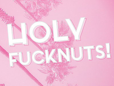 holy nuts - poster poster print typo typography typowork