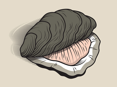 Oyster drawing etching illustration logo