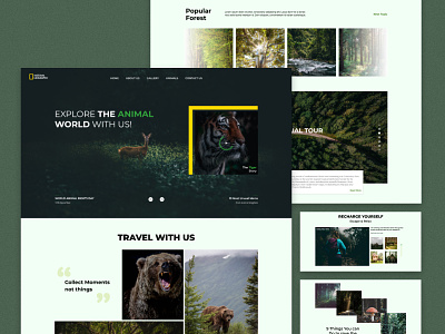 NATGEO (Remade version) animal branding camping design development forest home page landing page national geography savetiger ui ui ux ux webdesign website wildlife
