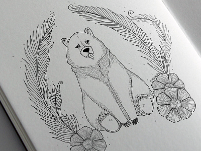 Woodland Creature Collection: Bear animals bear fauna flora illustration ink pen