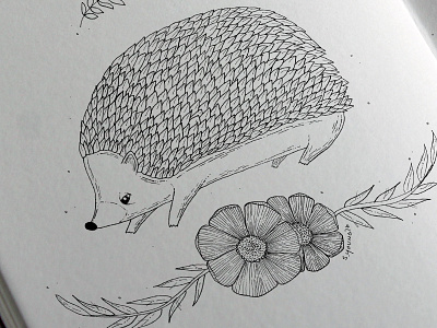 Woodland Creature Collection: Hedgehog animals fauna flora hedgehog illustration ink pen