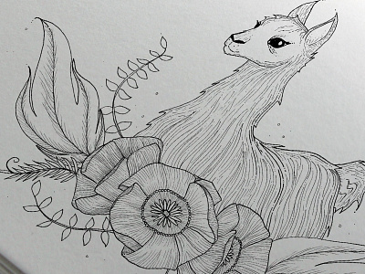 Woodland Creature Collection: Llama animals fauna flora illustration ink llama pen